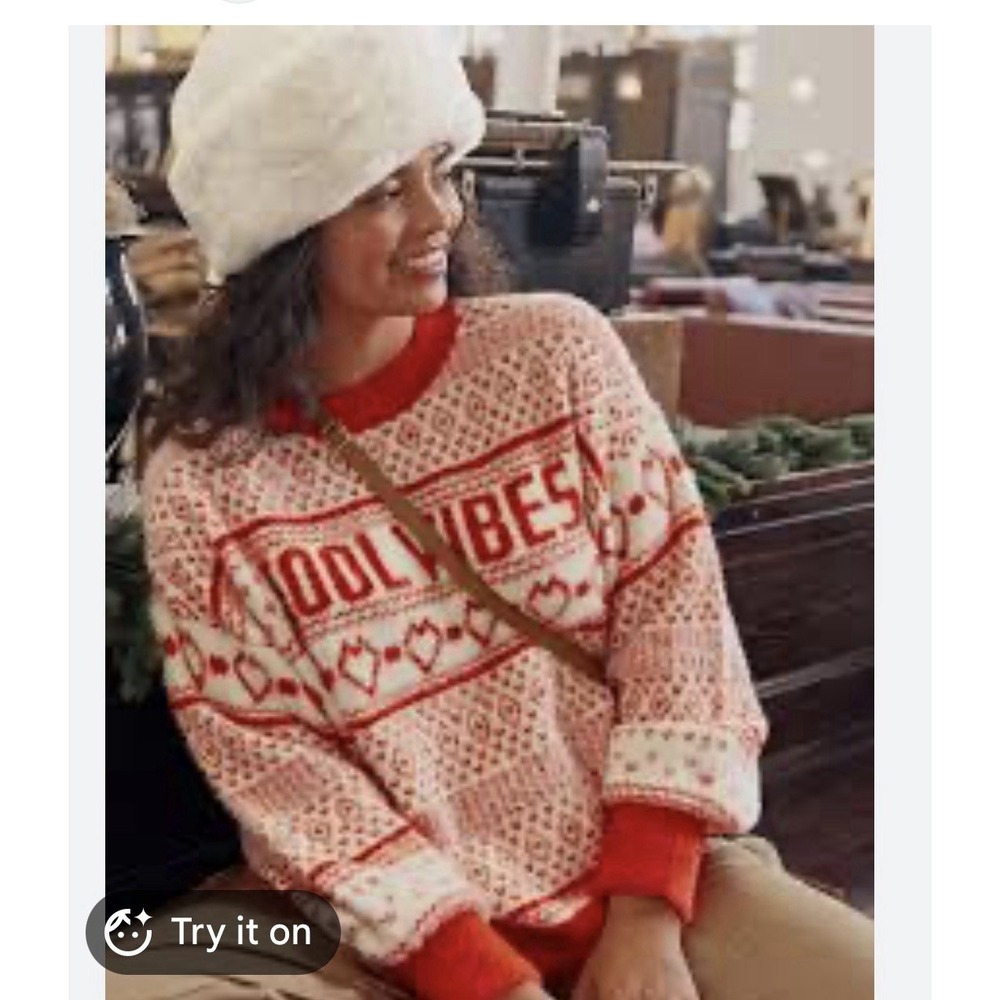 Aerie "Cool Vibes" Fair Isle Graphic Sweater | L | Cozy Knit Pullover